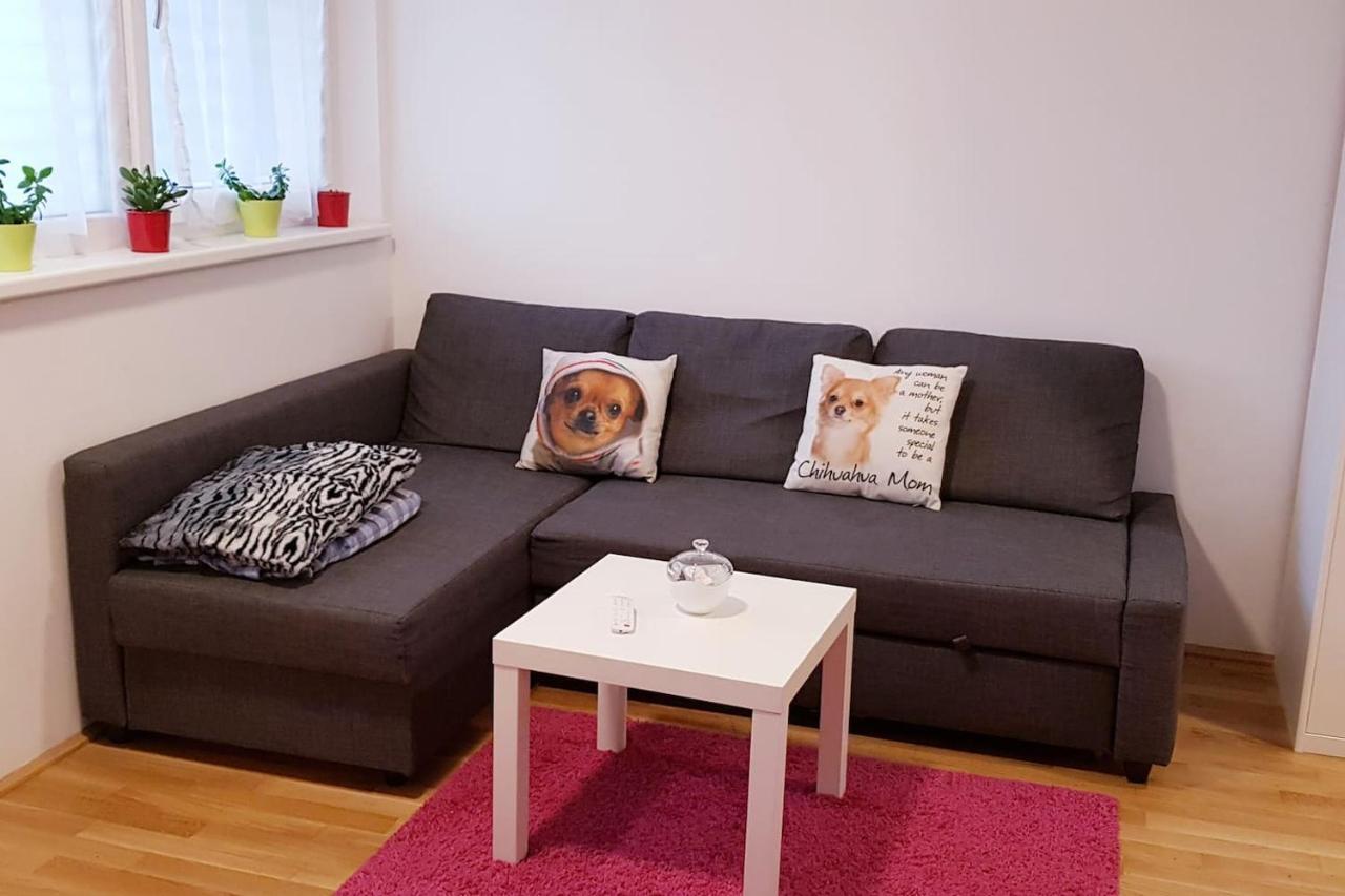 Trendy Danube Apartment - Close To Un 维也纳 外观 照片